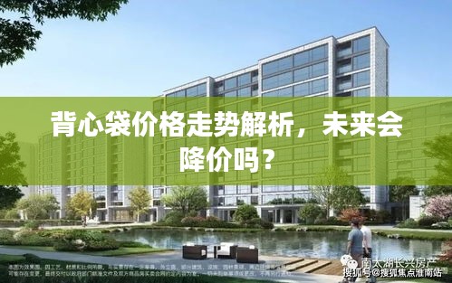 背心袋价格走势解析，未来会降价吗？