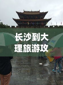 梨花带雨 第2页