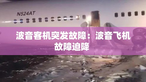 波音客机突发故障：波音飞机故障迫降 