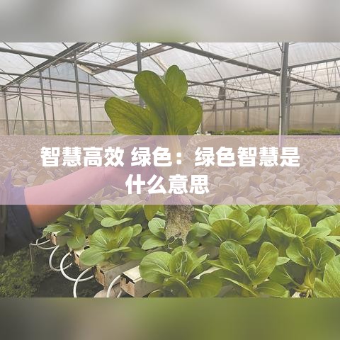智慧高效 绿色：绿色智慧是什么意思 