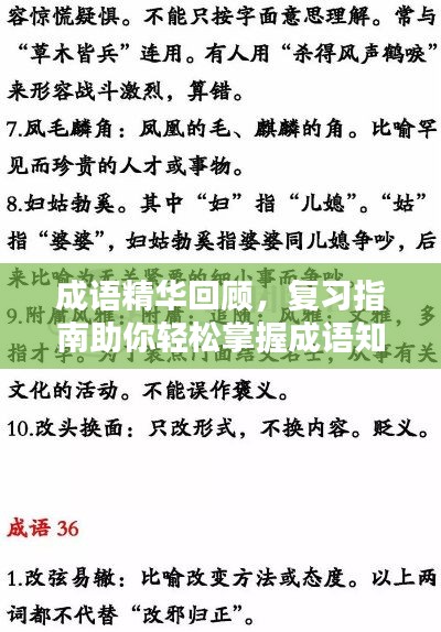 成语精华回顾，复习指南助你轻松掌握成语知识！