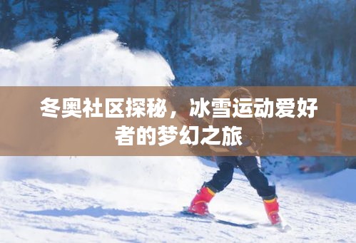 冬奥社区探秘，冰雪运动爱好者的梦幻之旅