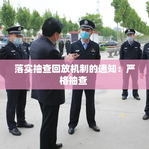 落实抽查回放机制的通知：严格抽查 