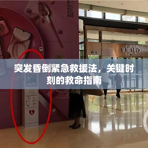 突发昏倒紧急救援法，关键时刻的救命指南