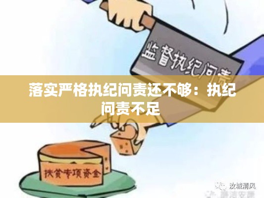 落实严格执纪问责还不够：执纪问责不足 