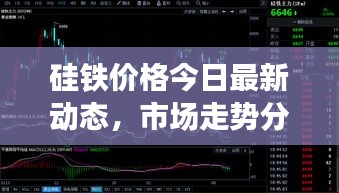 硅铁价格今日最新动态，市场走势分析！