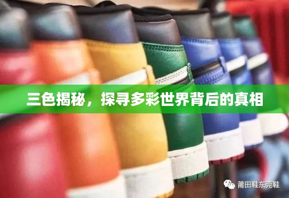 三色揭秘，探寻多彩世界背后的真相