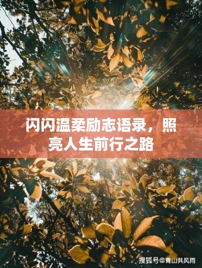 闪闪温柔励志语录，照亮人生前行之路