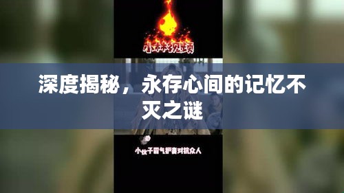深度揭秘，永存心间的记忆不灭之谜