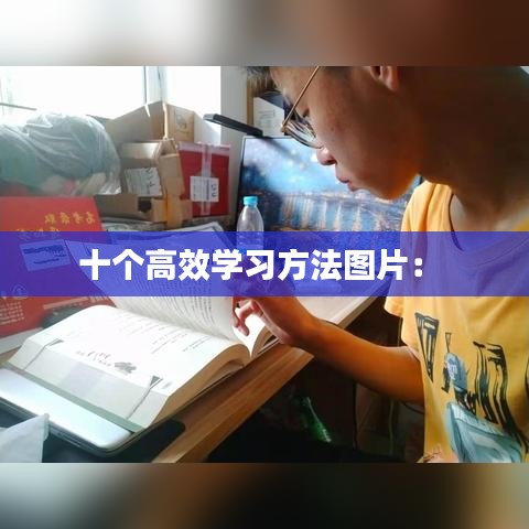 十个高效学习方法图片： 
