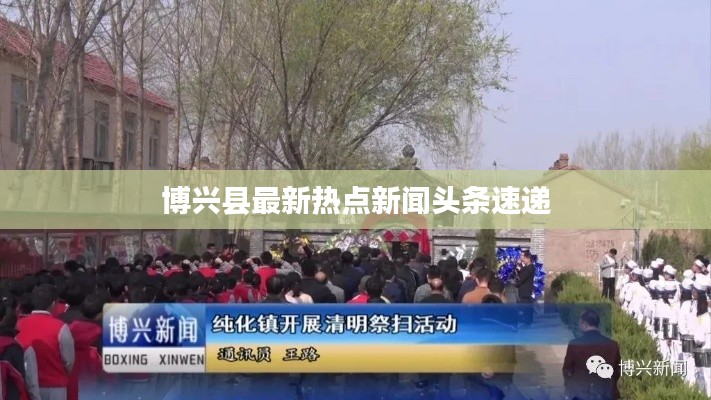 博兴县最新热点新闻头条速递