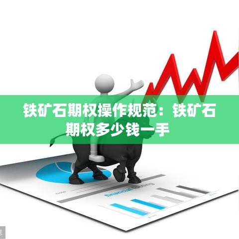 铁矿石期权操作规范：铁矿石期权多少钱一手 