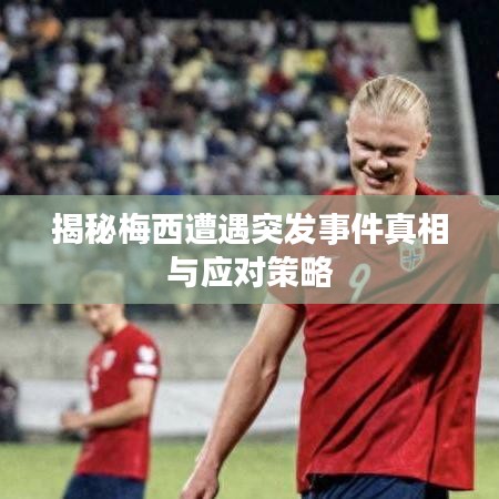 还淳反素 第2页