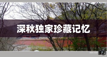 深秋独家珍藏记忆