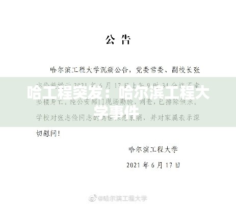 哈工程突发：哈尔滨工程大学事件 