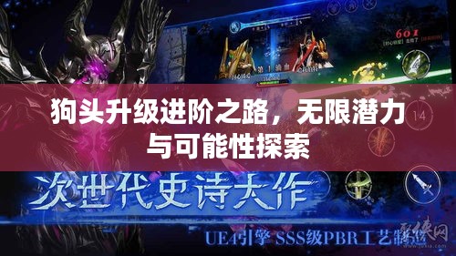 狗头升级进阶之路，无限潜力与可能性探索