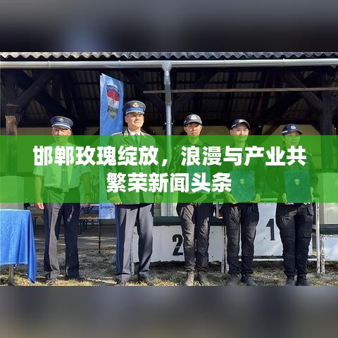 邯郸玫瑰绽放，浪漫与产业共繁荣新闻头条