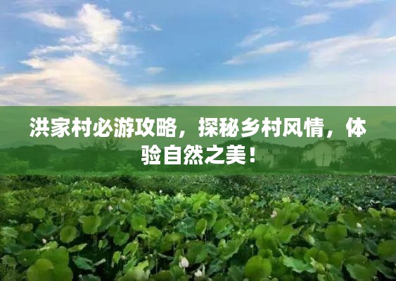 洪家村必游攻略，探秘乡村风情，体验自然之美！