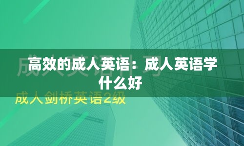 高效的成人英语：成人英语学什么好 