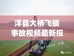 洋县大桥飞蛾事故视频最新报道，深度解析事故细节