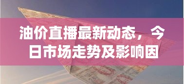 油价直播最新动态，今日市场走势及影响因素深度解析