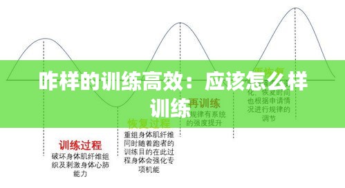 咋样的训练高效：应该怎么样训练 