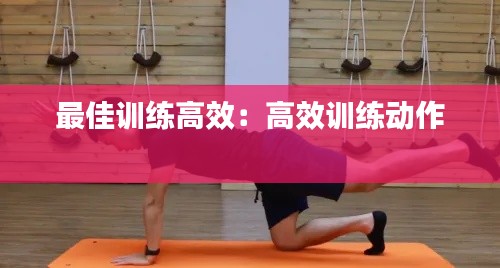 最佳训练高效：高效训练动作 