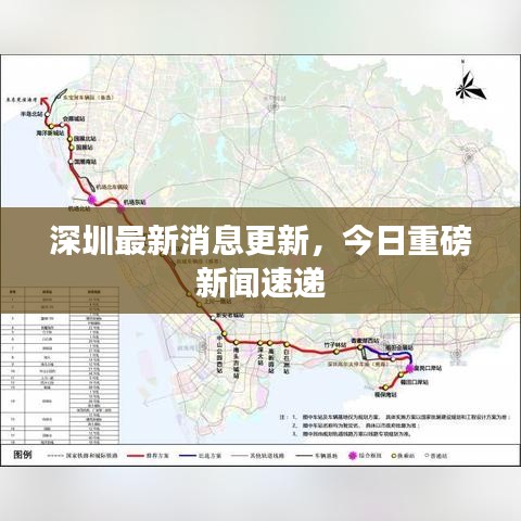 深圳最新消息更新，今日重磅新闻速递