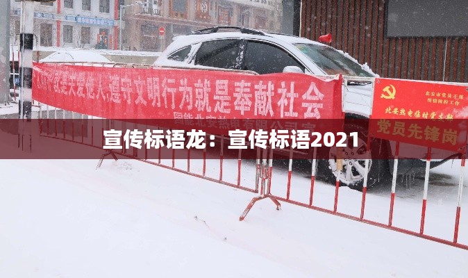 宣传标语龙：宣传标语2021 