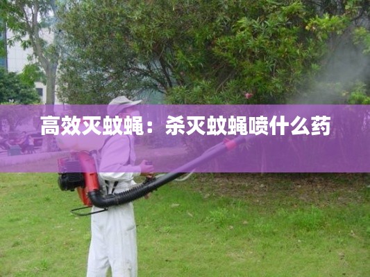 高效灭蚊蝇：杀灭蚊蝇喷什么药 