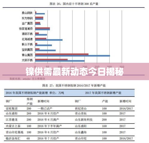 镍供需最新动态今日揭秘