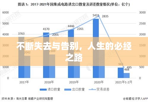 不断失去与告别，人生的必经之路