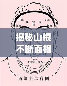 揭秘山根不断面相，解读面相奥秘，洞悉人生运势！
