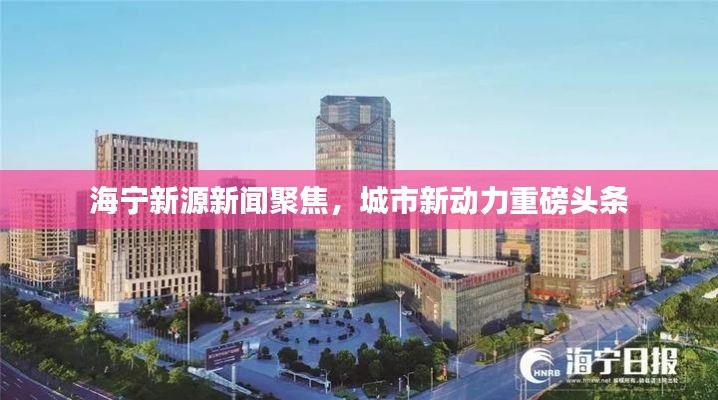 海宁新源新闻聚焦，城市新动力重磅头条