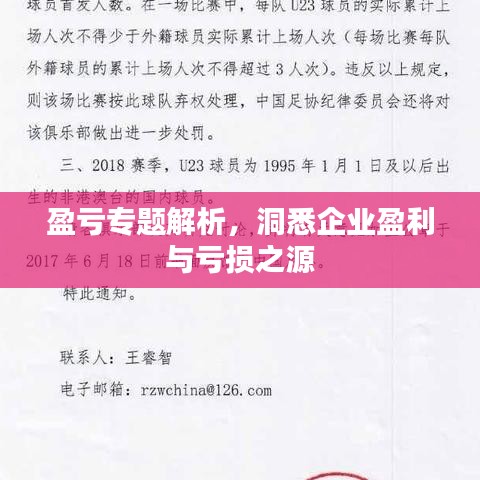 盈亏专题解析，洞悉企业盈利与亏损之源