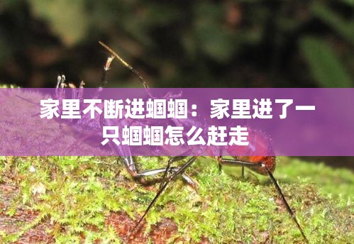 事必躬亲 第3页