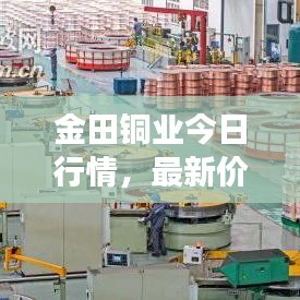 金田铜业今日行情，最新价格、市场走势及影响因素深度解析