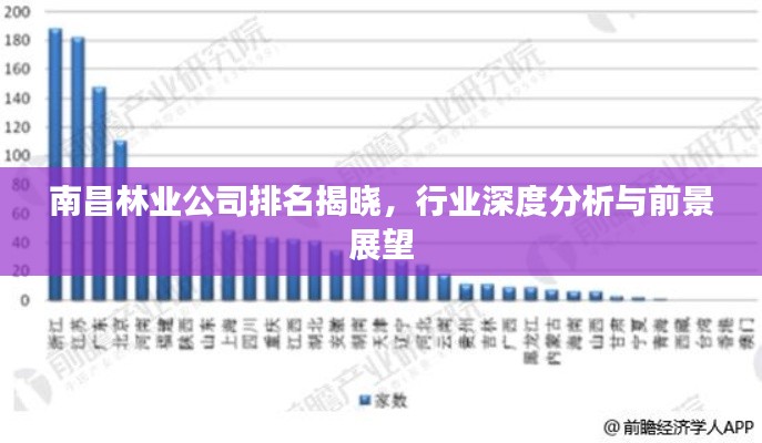 南昌林业公司排名揭晓，行业深度分析与前景展望