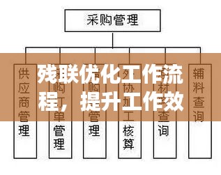 残联优化工作流程，提升工作效率实施方案