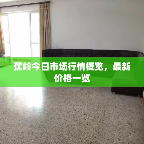 蕉岭今日市场行情概览，最新价格一览