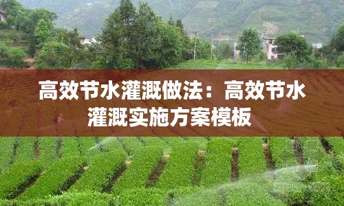 高效节水灌溉做法：高效节水灌溉实施方案模板 