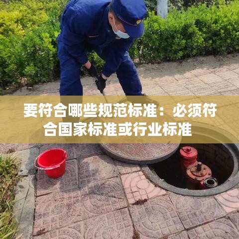 要符合哪些规范标准：必须符合国家标准或行业标准 