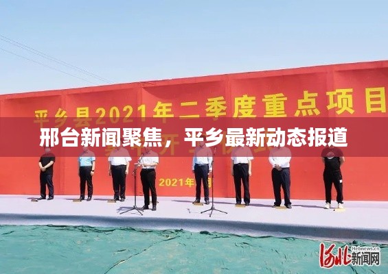 邢台新闻聚焦，平乡最新动态报道