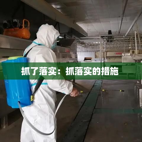 抓了落实：抓落实的措施 