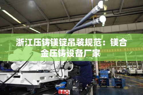 浙江压铸镁锭吊装规范：镁合金压铸设备厂家 