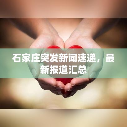 石家庄突发新闻速递，最新报道汇总