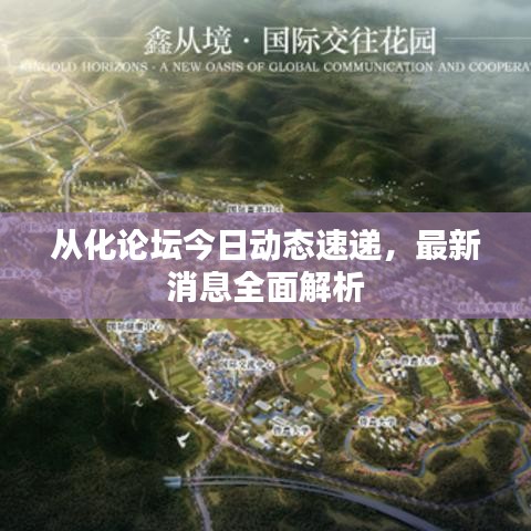 从化论坛今日动态速递，最新消息全面解析