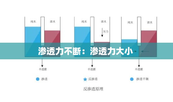 渗透力不断：渗透力大小 