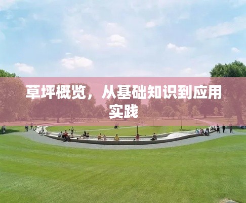 草坪概览，从基础知识到应用实践