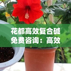 花都高效复合碱免费咨询：高效复合碱对人体有害吗 